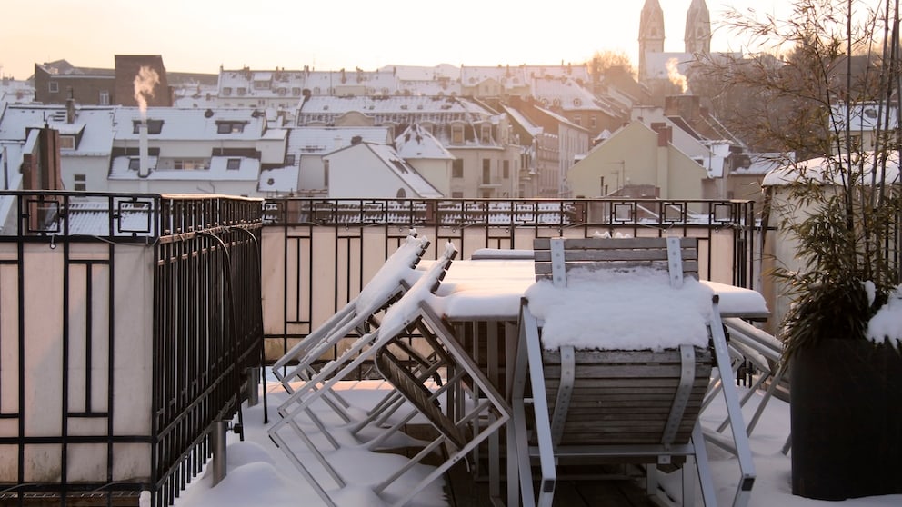 Im Herbst sollte man seine Balkonpflanzen auf den bevorstehenden Winter vorbereiten