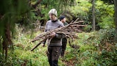 Kleine Mengen an Holz können in staatlichen Forsten meist vom Waldboden gesammelt werden