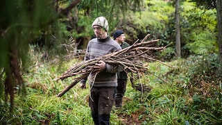 Kleine Mengen an Holz können in staatlichen Forsten meist vom Waldboden gesammelt werden