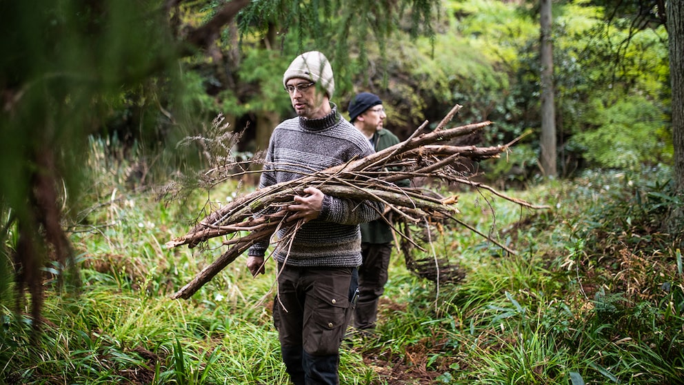 Kleine Mengen an Holz können in staatlichen Forsten meist vom Waldboden gesammelt werden