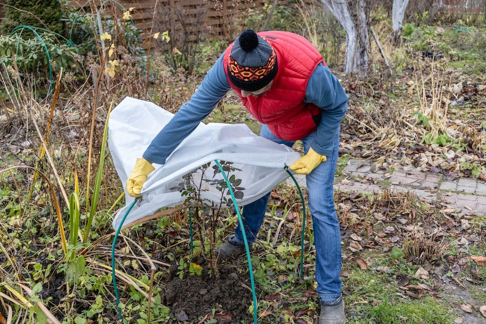 Wie man den Garten winterfest macht