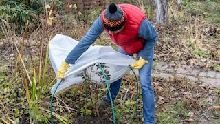 Wird es draußen kälter, braucht auch der Garten besondere Aufmerksamkeit