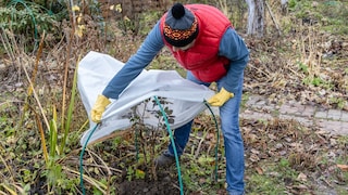 Wird es draußen kälter, braucht auch der Garten besondere Aufmerksamkeit