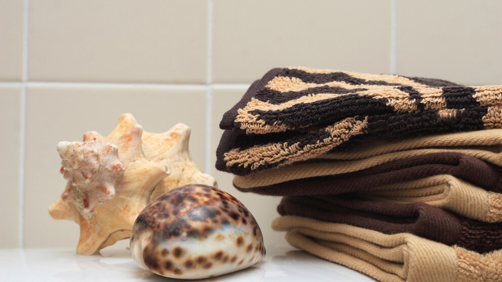 Muscheln finden sich als maritime Deko-Elemente in vielen Badezimmern. Doch sind sie auch ein geeignetes Putzutensil, um hartnäckige Kalkablagerungen und Urinstein in der Toilette zu entfernen?