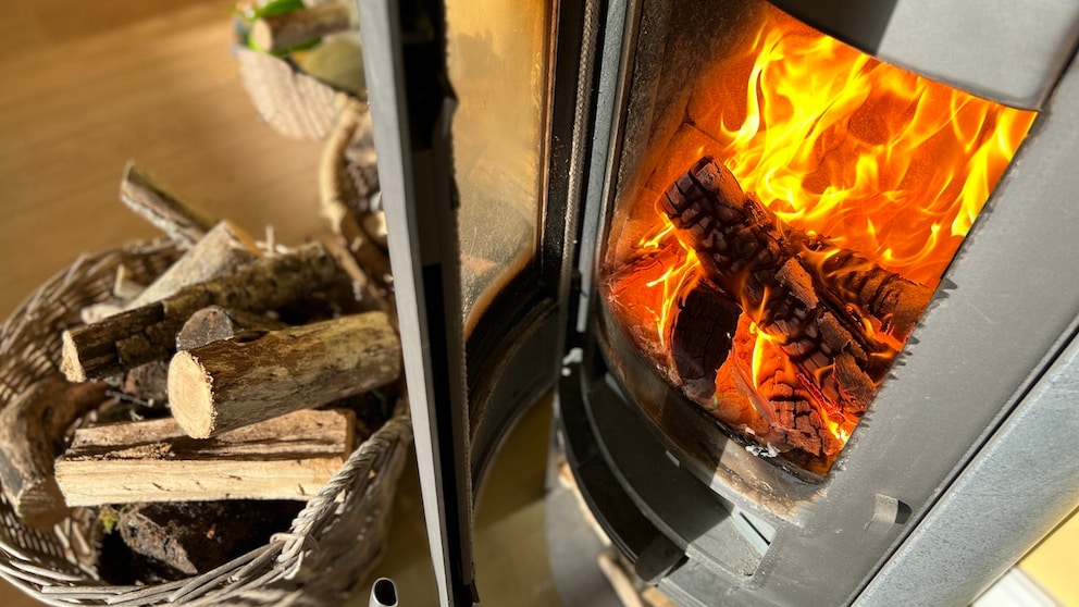 Beim Brennholz für den Kamin sollte man auf einige Faktoren achten