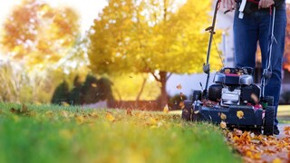 Auch im November ist die Rasenpflege wichtig