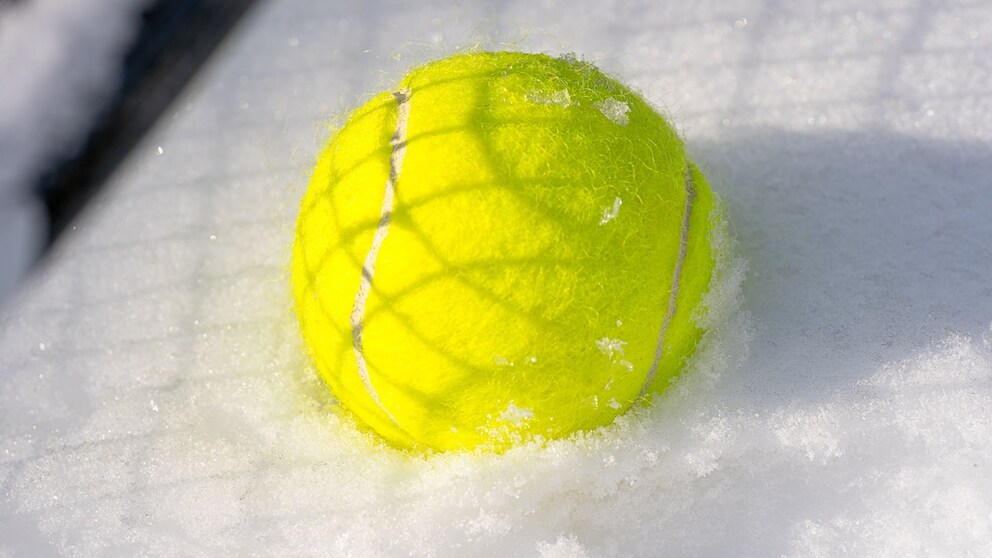 Ein Tennisball im Garten kann im Winter Leben retten