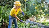 Frau im Garten bei der Arbeit