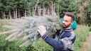Die beliebtesten Weihnachtsbäume in Deutschland sind die Nordmanntanne und die Blaufichte. Was sind die Unterschiede?