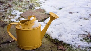 Auch im Winter kann es trocken sein, muss man dann den Rasen gießen?