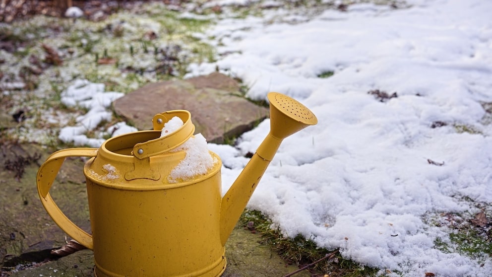 Auch im Winter kann es trocken sein, muss man dann den Rasen gießen?