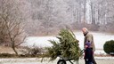 Wer den Weihnachtsbaum besonders fr&uuml;h kauft, sollte ihn am besten drinnen lagern oder bereits aufstellen