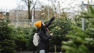 Wie finde ich den passenden Weihnachtsbaum? myHOMEBOOK hat Experten nach ihren Tipps für den Weihnachtsbaumkauf gefragt.