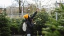 Wie finde ich den passenden Weihnachtsbaum? myHOMEBOOK hat Experten nach ihren Tipps f&uuml;r den Weihnachtsbaumkauf gefragt.