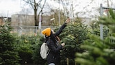 Wie finde ich den passenden Weihnachtsbaum? myHOMEBOOK hat Experten nach ihren Tipps für den Weihnachtsbaumkauf gefragt.