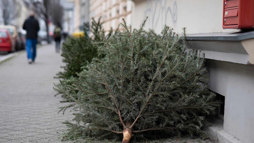 Weihnachtsbaum entsorgen