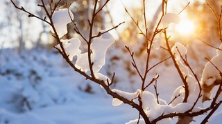 Bauernregeln sollen verraten, wie sich das Wetter verhält, doch nicht alle stimmen