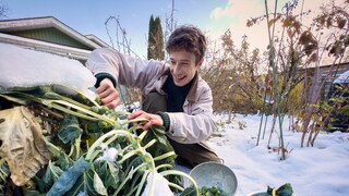 Im Januar ist nicht allzu viel im Garten zu tun. Ein paar Dinge fallen dennoch an.