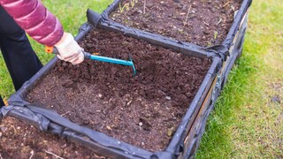 Bereits im Januar kann man das erste Gemüse im Garten aussäen