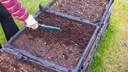 Bereits im Januar kann man das erste Gemüse im Garten aussäen