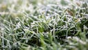 Rasen nach dem Winter