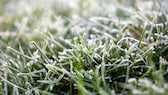 Rasen im Februar pflegen Experte gibt Tipps myHOMEBOOK