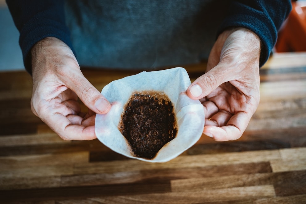 Zimmerpflanzen mit Kaffeesatz düngen