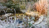 Es gibt Bauernregeln im Februar, die Aufschluss über das kommende Wetter geben