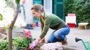 Im Frühjahr sollte man nicht zu voreilig Blumen auspflanzen, insbesondere wenn es sich um frostempfindliche Pflanzen handelt