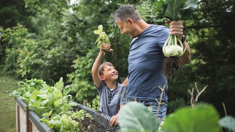 Ein Grund, warum wir Obst und Gemüse anbauen, kann sein, dass wir Kindern das Gärtnern näherbringen wollen