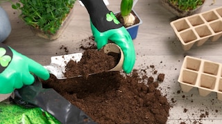 Anzuchterde unterscheidet sich von normaler Blumenerde