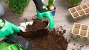 Anzuchterde unterscheidet sich von normaler Blumenerde
