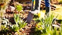 Im Frühling gilt es den Garten auf die kommende Gartensaison so gut wie möglich vorzubereiten