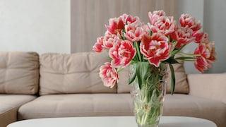 Vase Tulpen