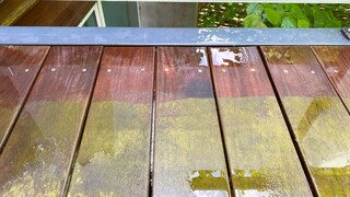 Auf Pflastersteinen und Terrasse sammeln sich mit der Zeit Algen und Moose