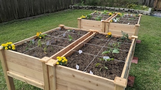 Hochbeete aus Holz im Garten