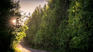 Laut einer Bauernregel ist viel Regen im März schlecht für den Garten, doch was ist dran?