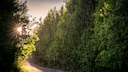 Laut einer Bauernregel ist viel Regen im März schlecht für den Garten, doch was ist dran?