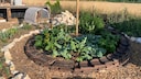 Sonnenfallen im Garten