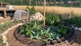 Sonnenfallen im Garten