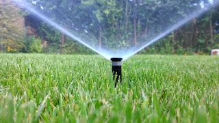 Sprinkler von einem Bewässerungssystem im Garten