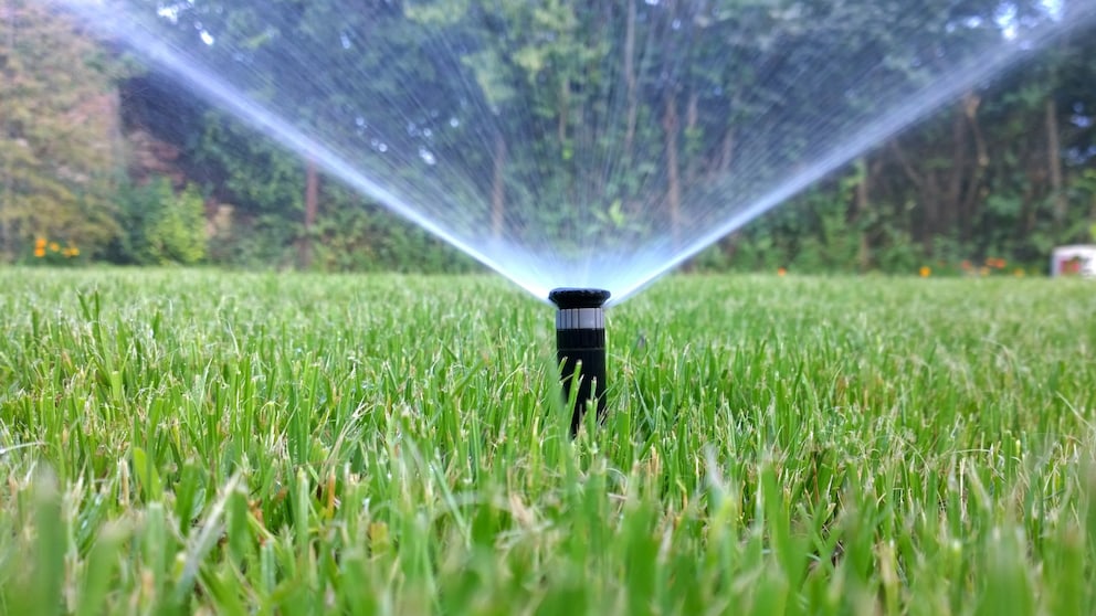 Sprinkler von einem Bewässerungssystem im Garten