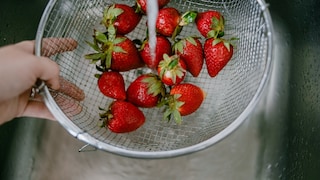Vor dem Verzehr sollte man Erdbeeren gründlich waschen
