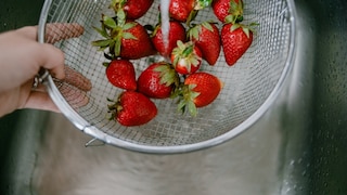Vor dem Verzehr sollte man Erdbeeren gründlich waschen