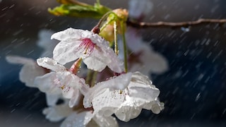 Im April spielt das Wetter gerne mal verrückt