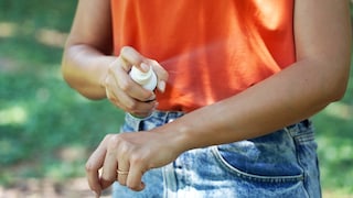 Insektenspray
