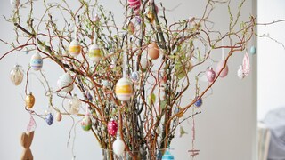 An Ostern stellen sich viele Zweige in die Vase, um diese zu schmücken