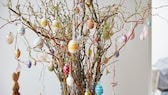An Ostern stellen sich viele Zweige in die Vase, um diese zu schmücken