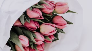 Tulpen nicht auspacken