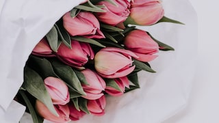 Tulpen nicht auspacken